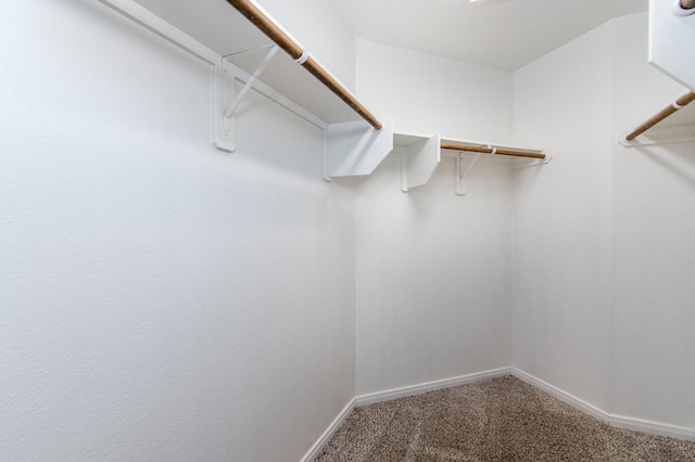 spacious closet with carpet flooring