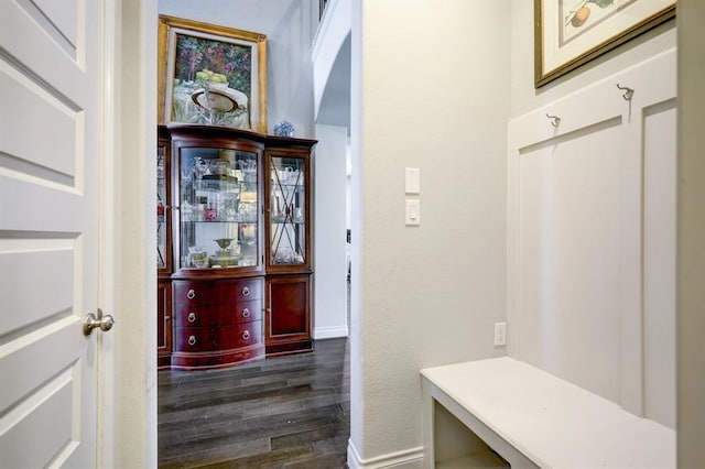 mudroom featuring dark wood-type flooring