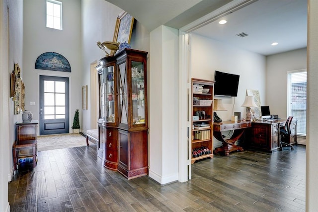 foyer with plenty of natural light and dark hardwood / wood-style floors