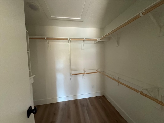 walk in closet with wood-type flooring