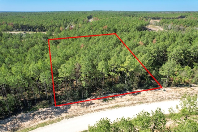 birds eye view of property with a forest view