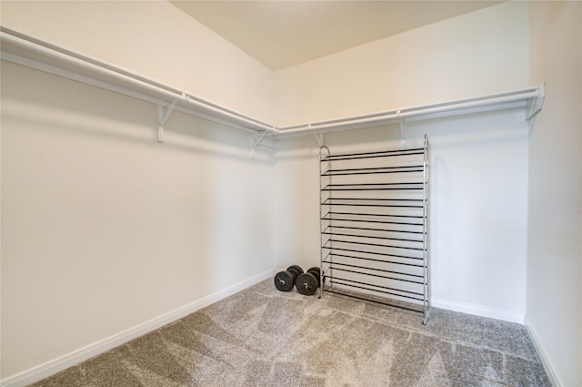 walk in closet with light colored carpet