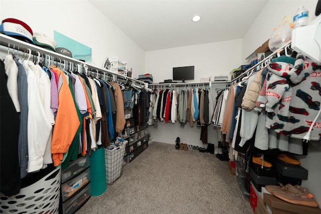 spacious closet featuring carpet floors