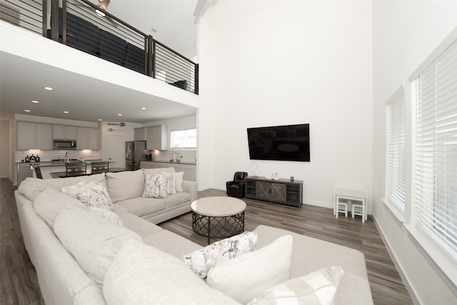 living room featuring hardwood / wood-style flooring and a high ceiling