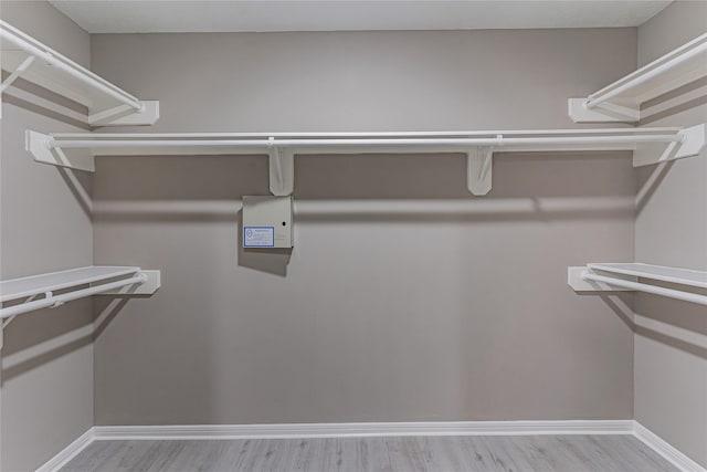 walk in closet featuring light wood-type flooring