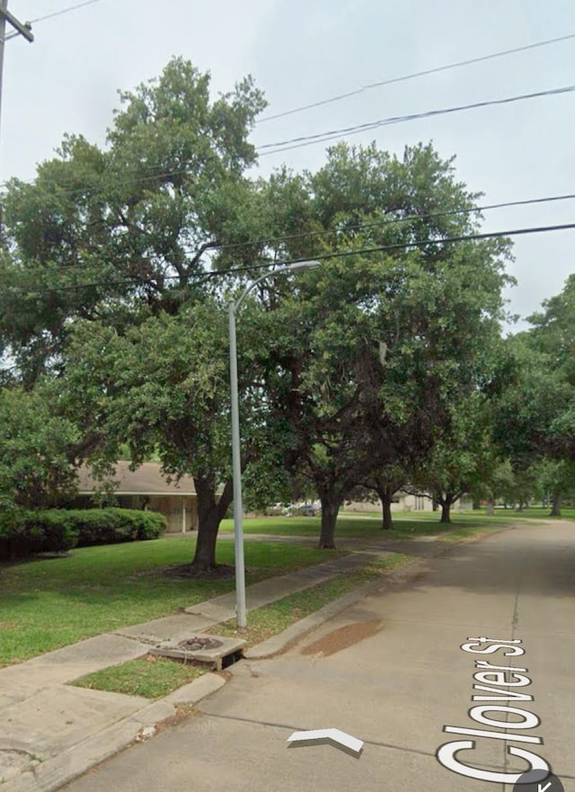 view of property hidden behind natural elements with a front lawn