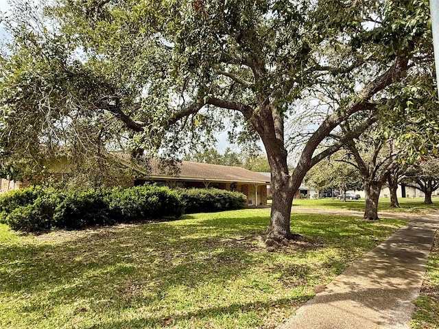 view of front of home featuring a front lawn