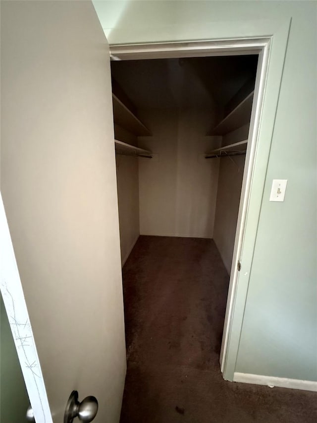 walk in closet with carpet floors