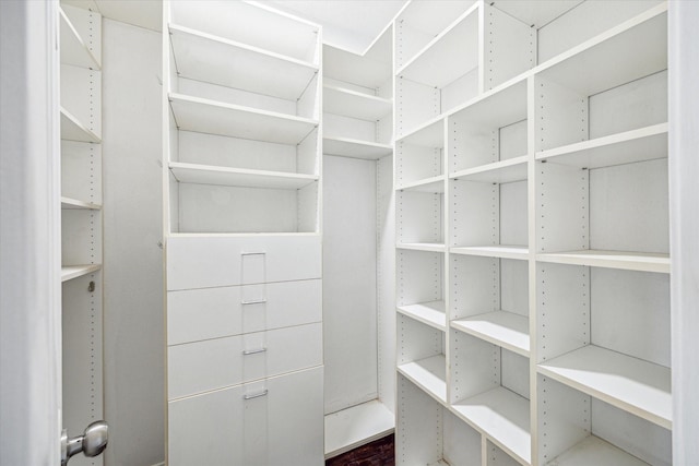 view of walk in closet