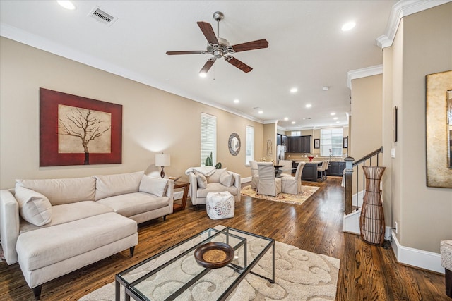 living room featuring crown molding, ceiling fan, and dark hardwood / wood-style flooring