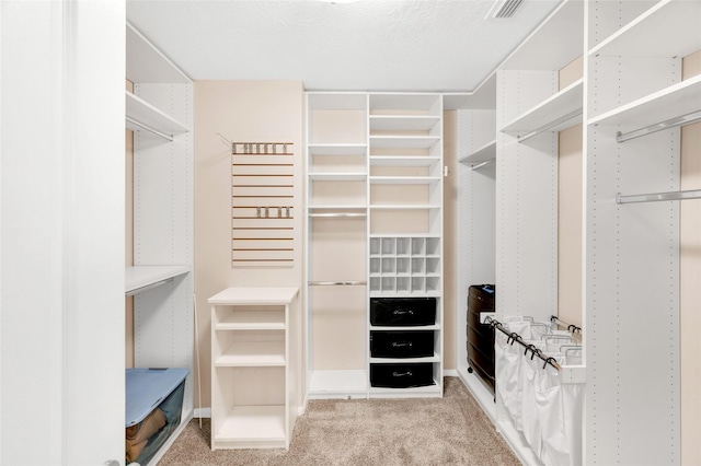 spacious closet featuring light carpet