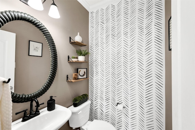 bathroom with sink, crown molding, and toilet