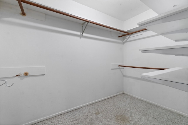 walk in closet featuring carpet floors