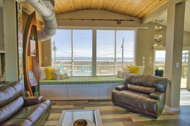 interior space with lofted ceiling and wooden ceiling