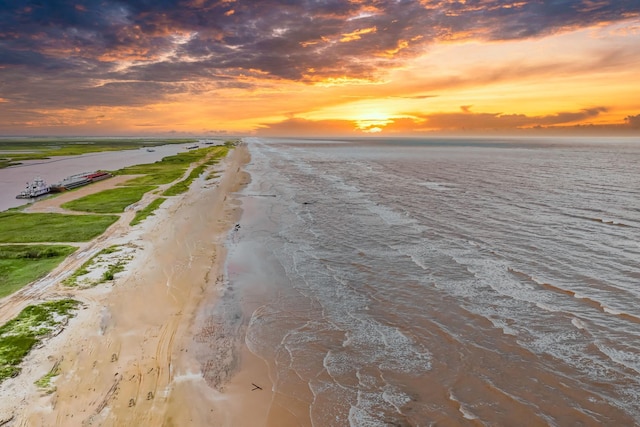 water view featuring a beach view