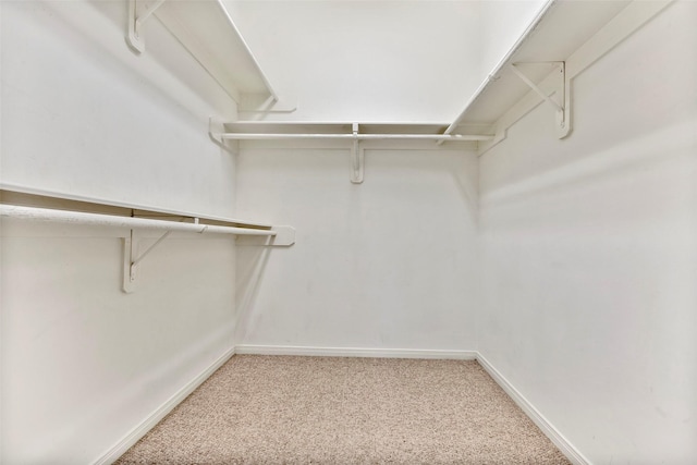 walk in closet with light carpet