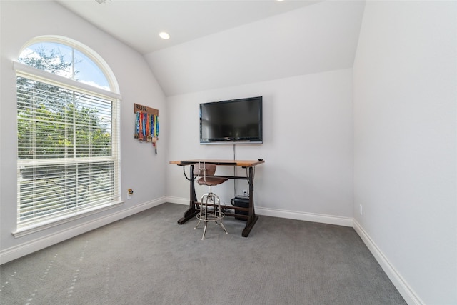 carpeted office with vaulted ceiling