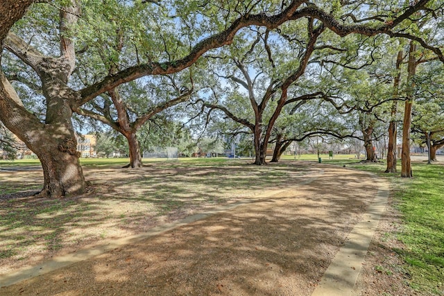 view of surrounding community