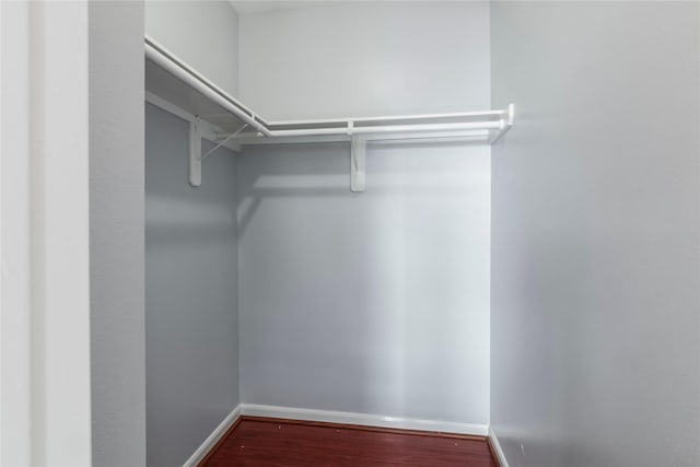 spacious closet featuring hardwood / wood-style flooring