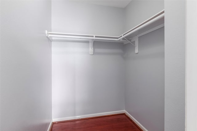 walk in closet with hardwood / wood-style flooring