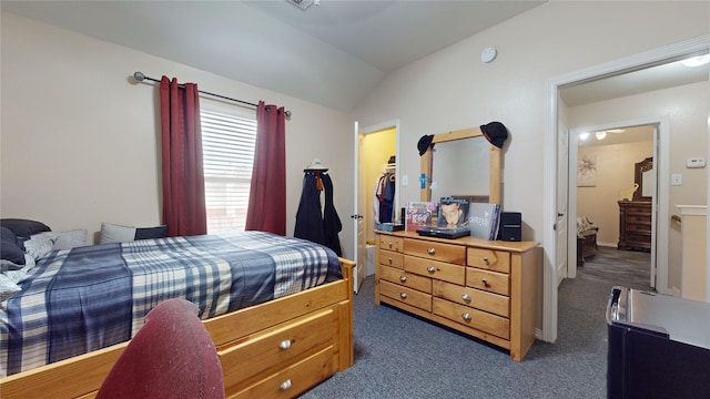 carpeted bedroom with vaulted ceiling, a spacious closet, and a closet