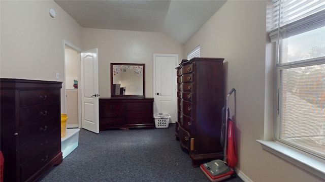 miscellaneous room with lofted ceiling and dark colored carpet