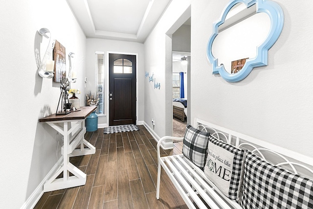 foyer entrance featuring baseboards, a tray ceiling, and wood finish floors