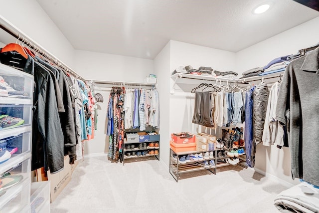 walk in closet with carpet floors