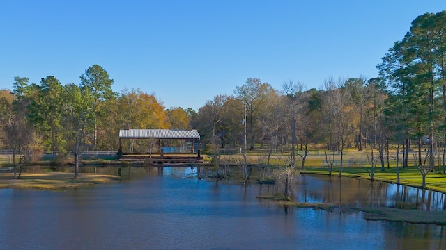 property view of water