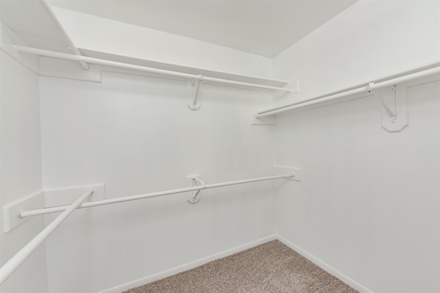 spacious closet featuring carpet floors