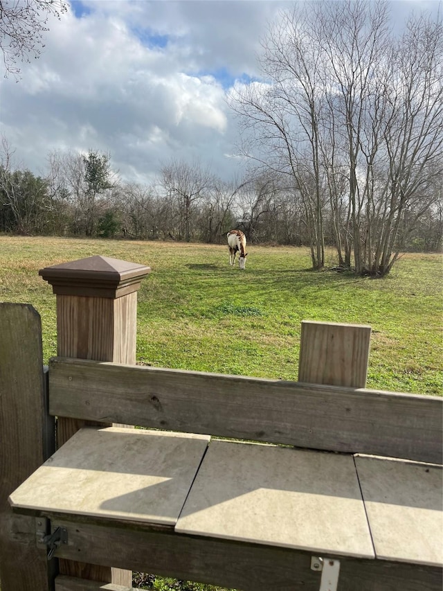 view of yard featuring a rural view