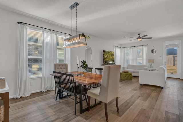 dining area featuring ceiling fan, a textured ceiling, and light wood-type flooring