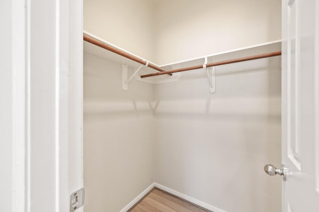 walk in closet featuring hardwood / wood-style flooring