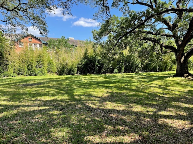 view of yard