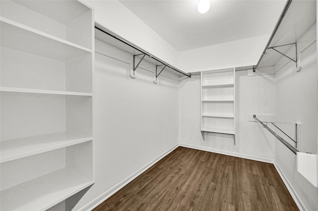 spacious closet with dark wood-type flooring