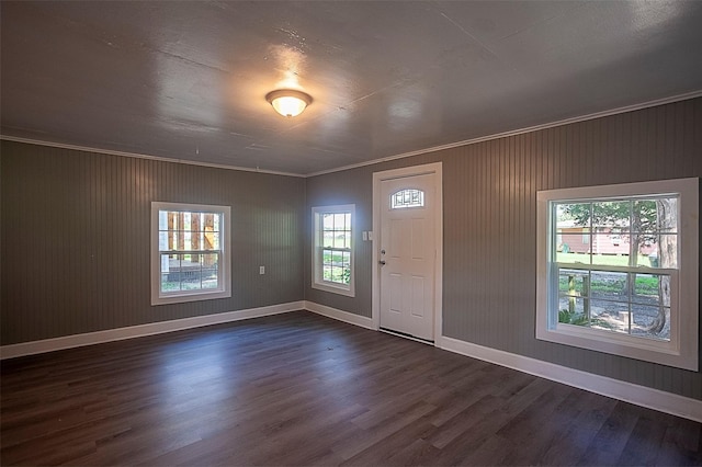 foyer entrance featuring crown molding and dark hardwood / wood-style floors