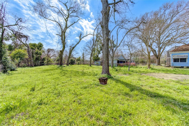 view of yard featuring driveway