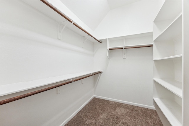 walk in closet featuring vaulted ceiling and carpet flooring