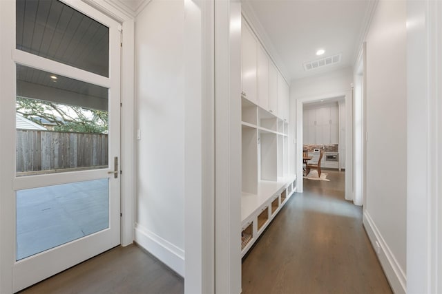 mudroom featuring dark hardwood / wood-style flooring