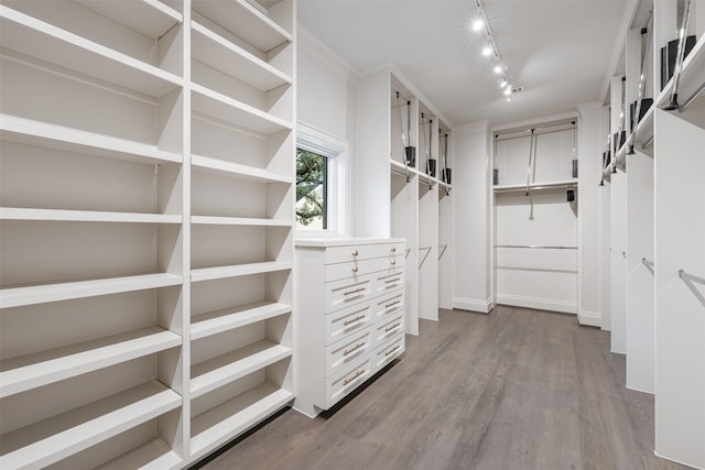 spacious closet with hardwood / wood-style floors