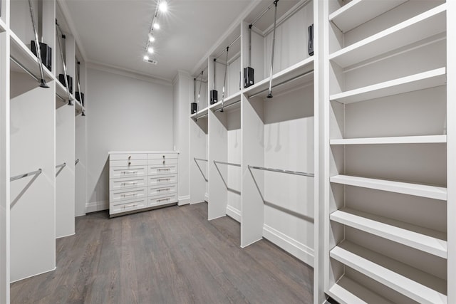 walk in closet with dark hardwood / wood-style floors