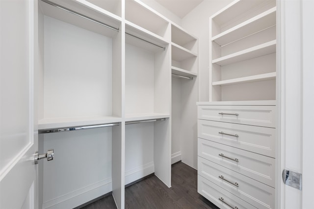 spacious closet with dark hardwood / wood-style floors