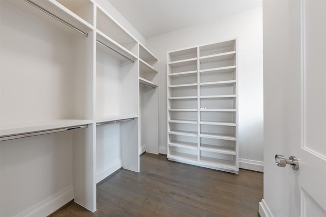 spacious closet featuring dark hardwood / wood-style floors