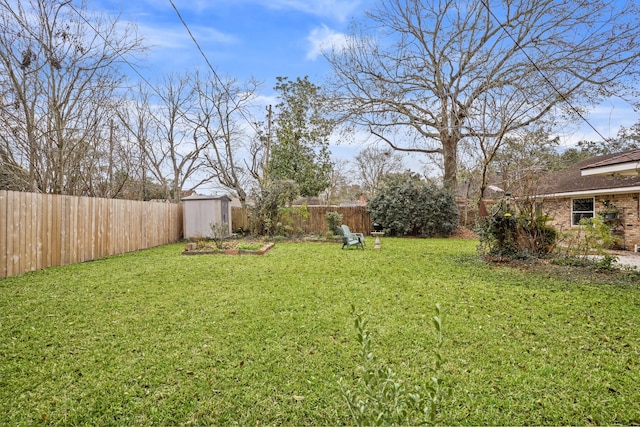 view of yard with a shed