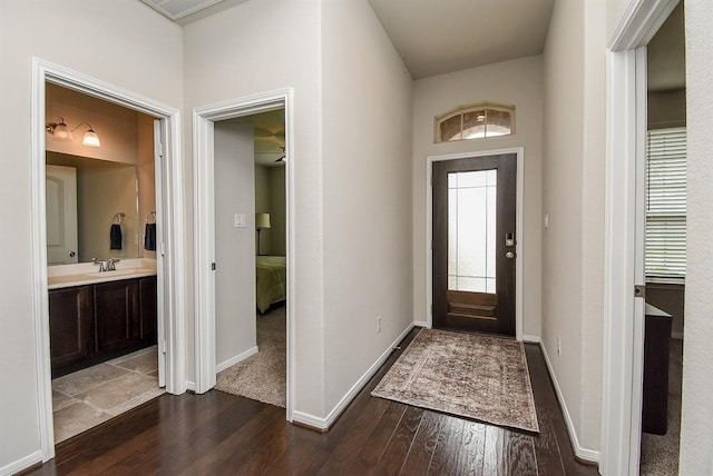 entryway featuring dark hardwood / wood-style floors and sink