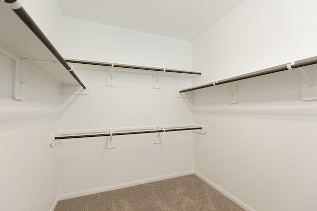 spacious closet with carpet flooring