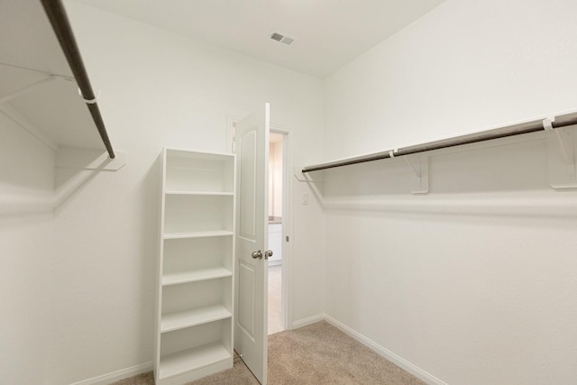 spacious closet with light carpet