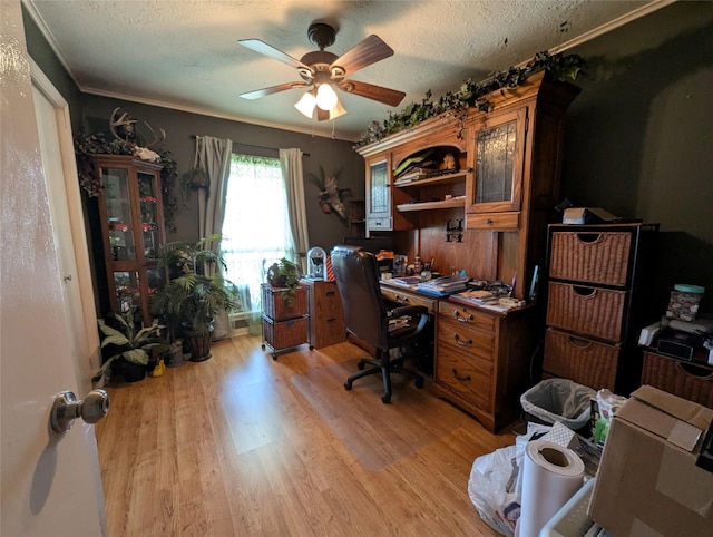 office area with a textured ceiling, crown molding, light wood-style flooring, and a ceiling fan