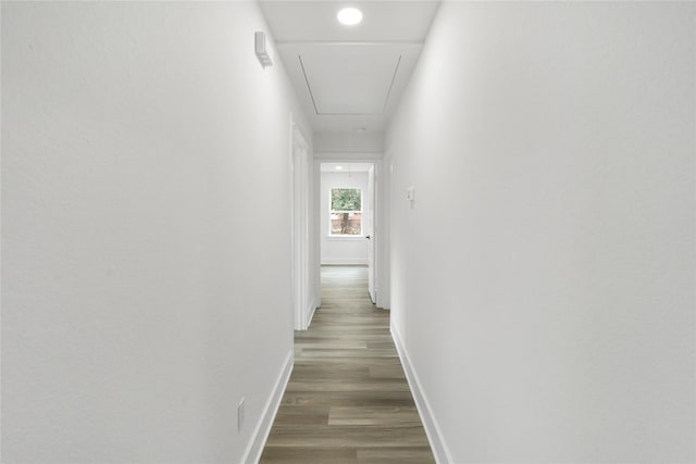 corridor featuring dark hardwood / wood-style flooring