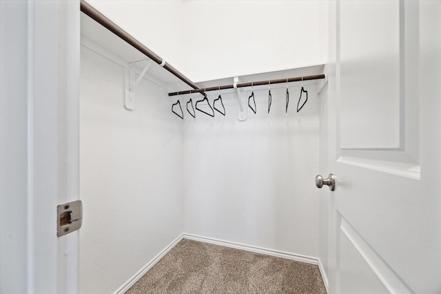 spacious closet with carpet floors